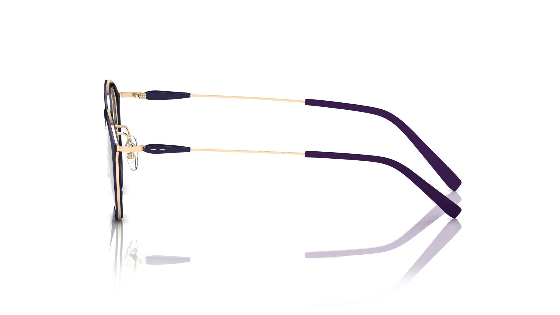 Eyeglasses for Men and Women 3D print model_2