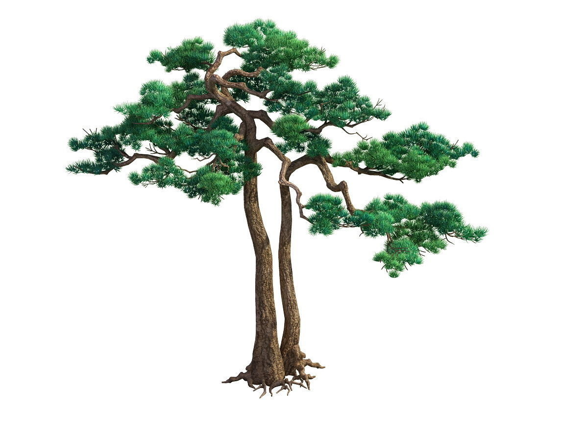 e Model - Taoist comprehension scene - Pine 03 01 3D model_1