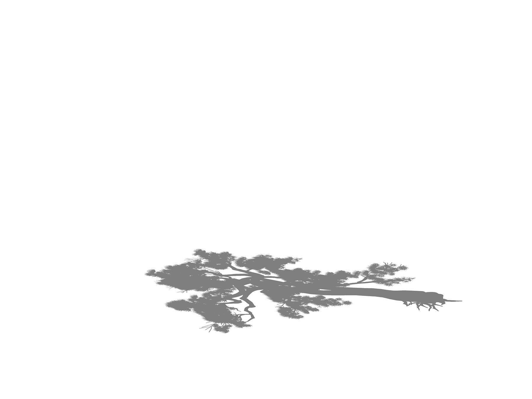 e Model - Taoist comprehension scene - Pine 03 01 3D model_7