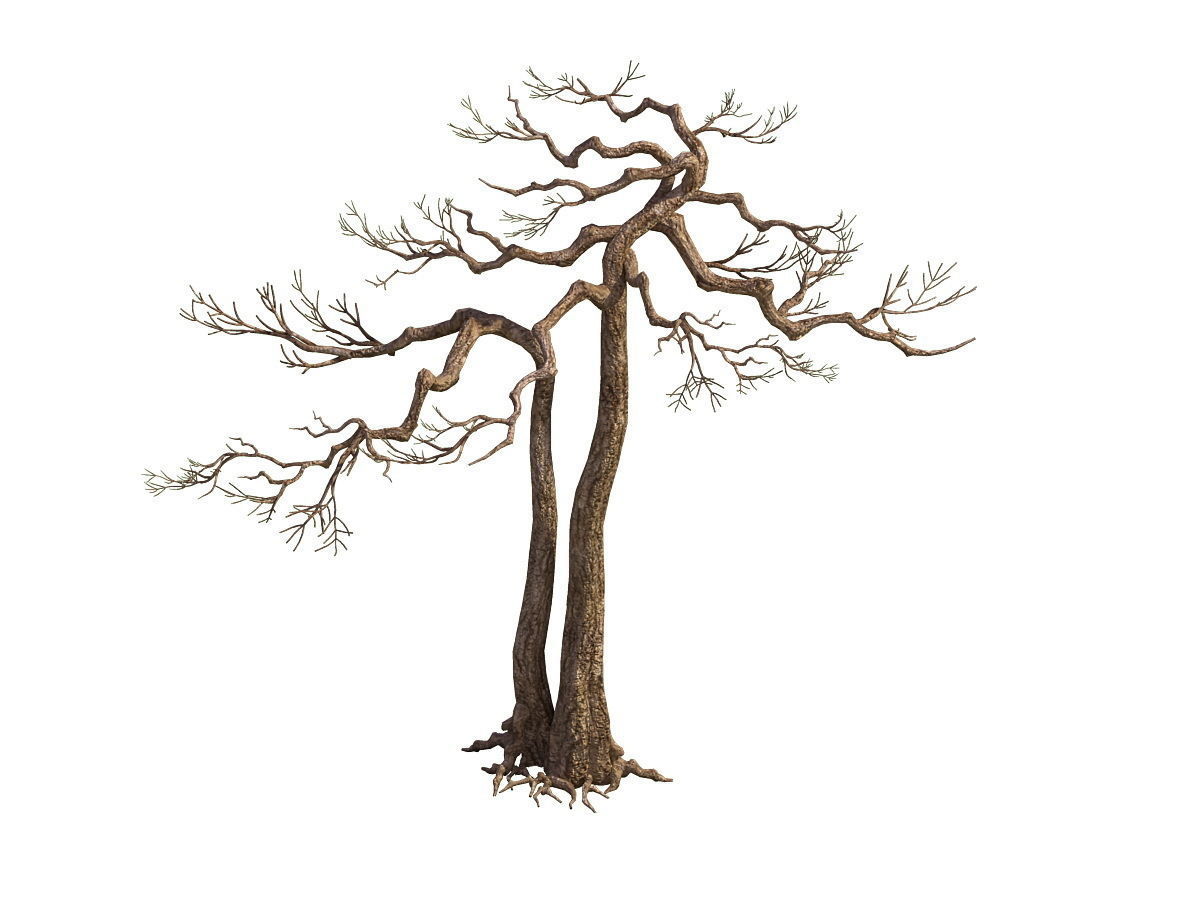 e Model - Taoist comprehension scene - Pine 03 01 3D model_5