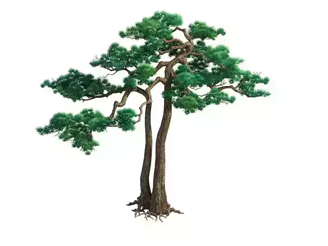e Model - Taoist comprehension scene - Pine 03 01