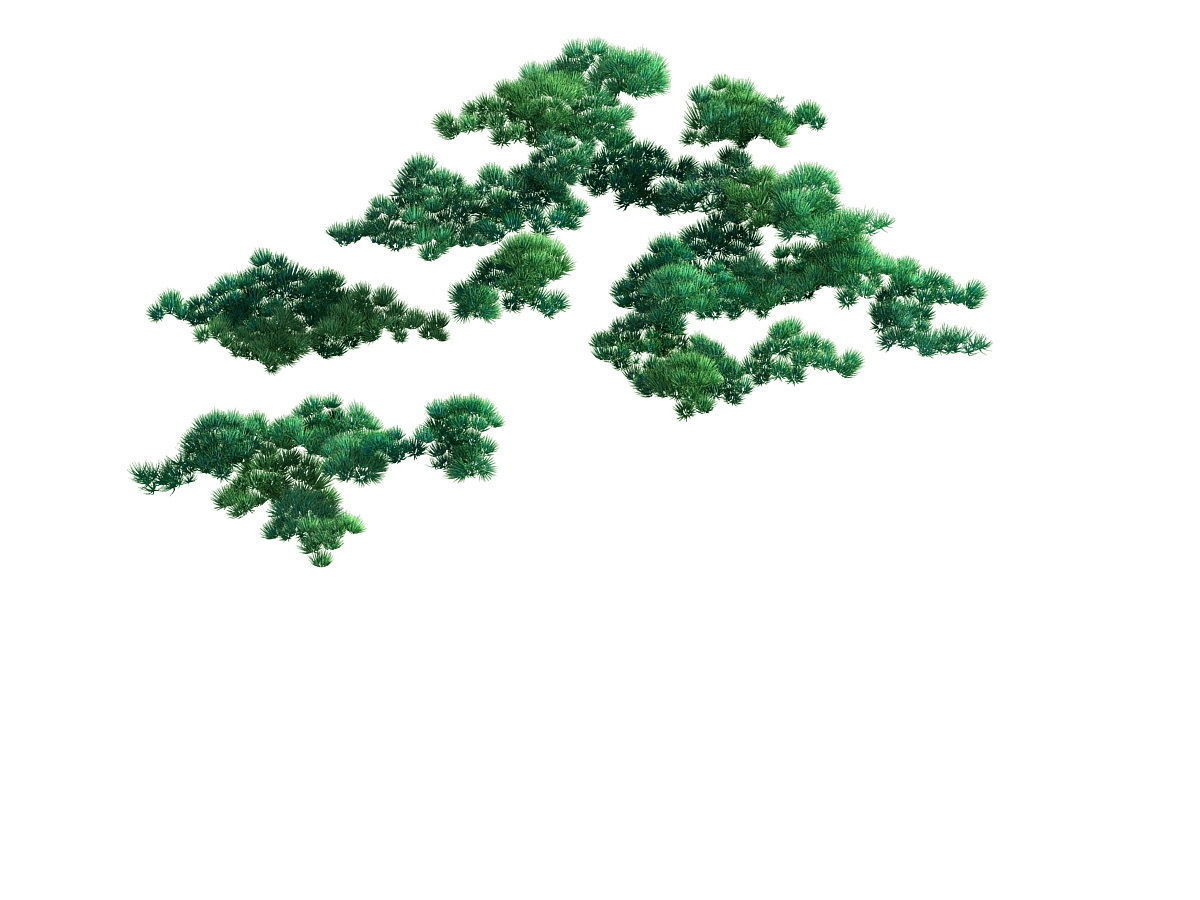 e Model - Taoist comprehension scene - Pine 03 01 3D model_6