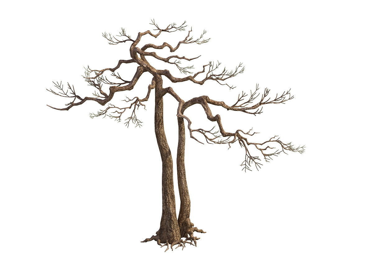 e Model - Taoist comprehension scene - Pine 03 01 3D model_2