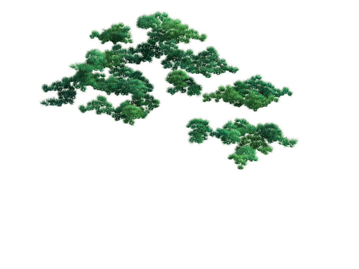 e Model - Taoist comprehension scene - Pine 03 01 3D model_3