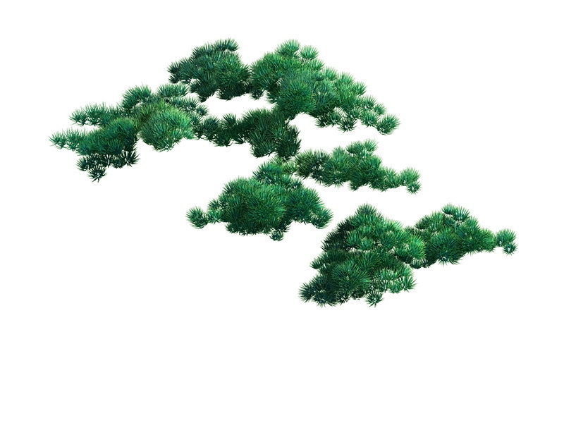 e Model - Taoist comprehension scene - Pine 04 01 3D model_4