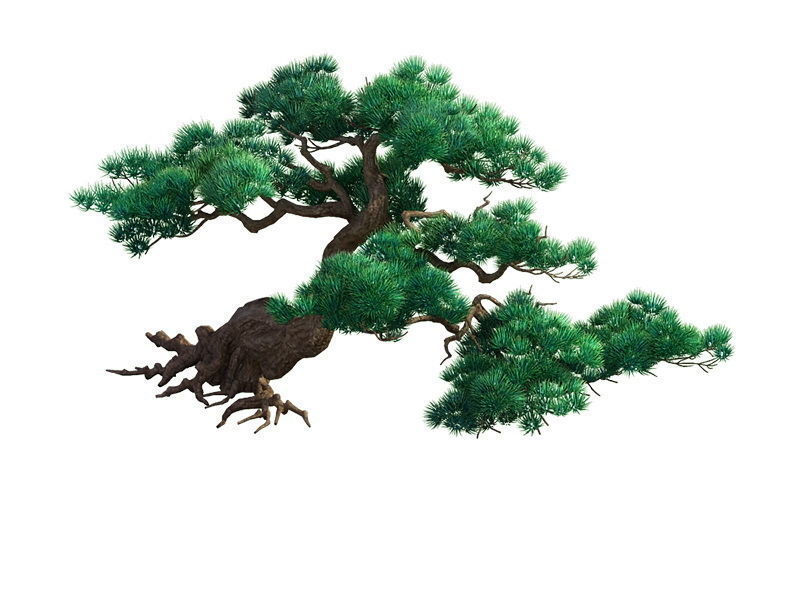 e Model - Taoist comprehension scene - Pine 04 01 3D model_1