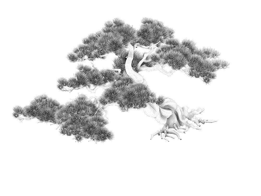 e Model - Taoist comprehension scene - Pine 04 01 3D model_6