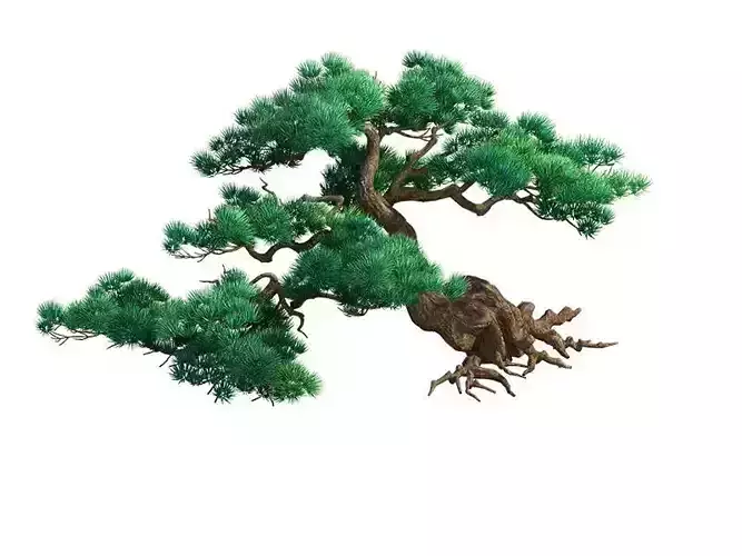 e Model - Taoist comprehension scene - Pine 04 01