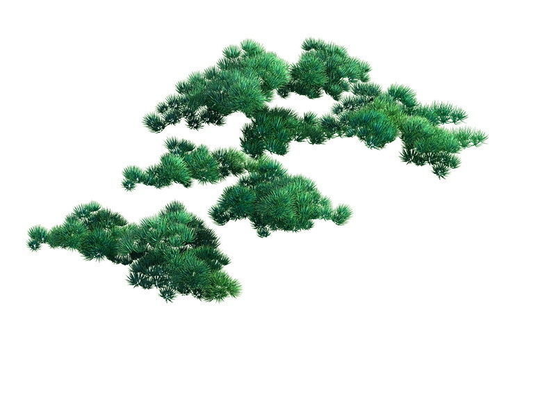 e Model - Taoist comprehension scene - Pine 04 01 3D model_8