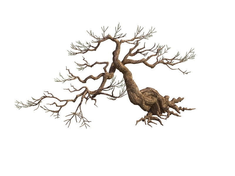 e Model - Taoist comprehension scene - Pine 04 01 3D model_7