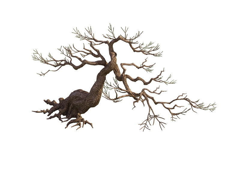 e Model - Taoist comprehension scene - Pine 04 01 3D model_3