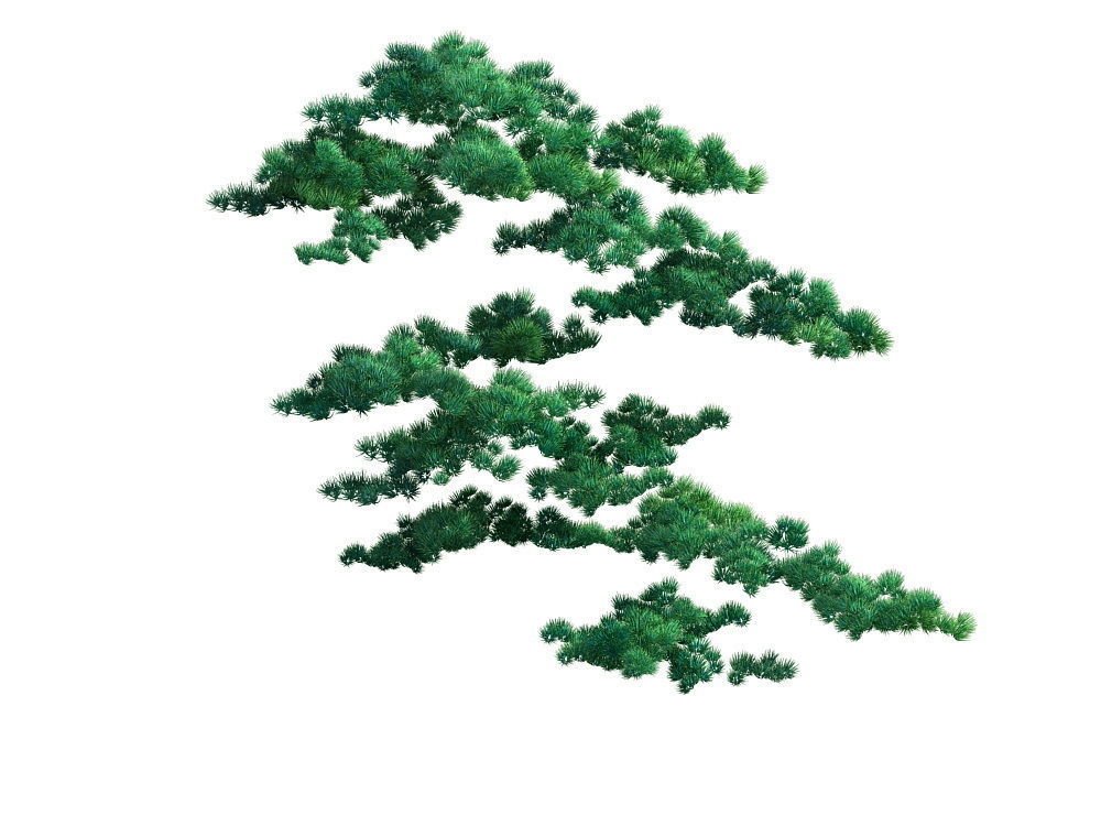 e Model - Taoist comprehension scene - Pine 05 01 3D model_6