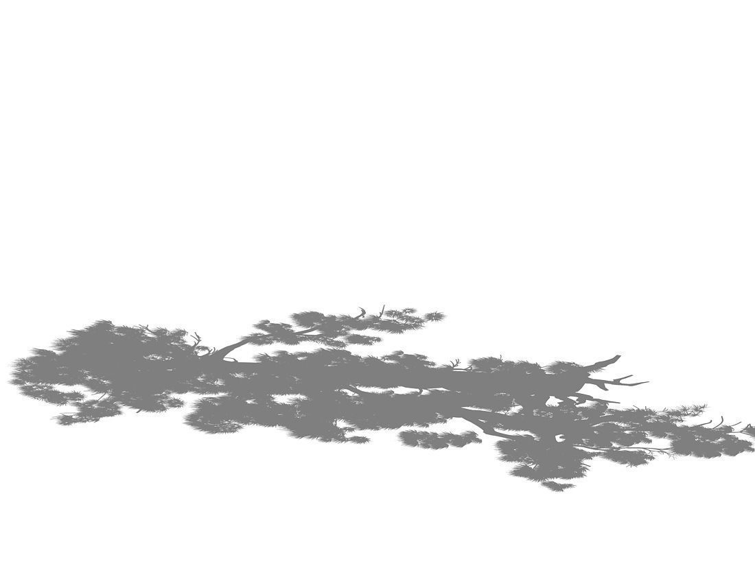 e Model - Taoist comprehension scene - Pine 05 01 3D model_7