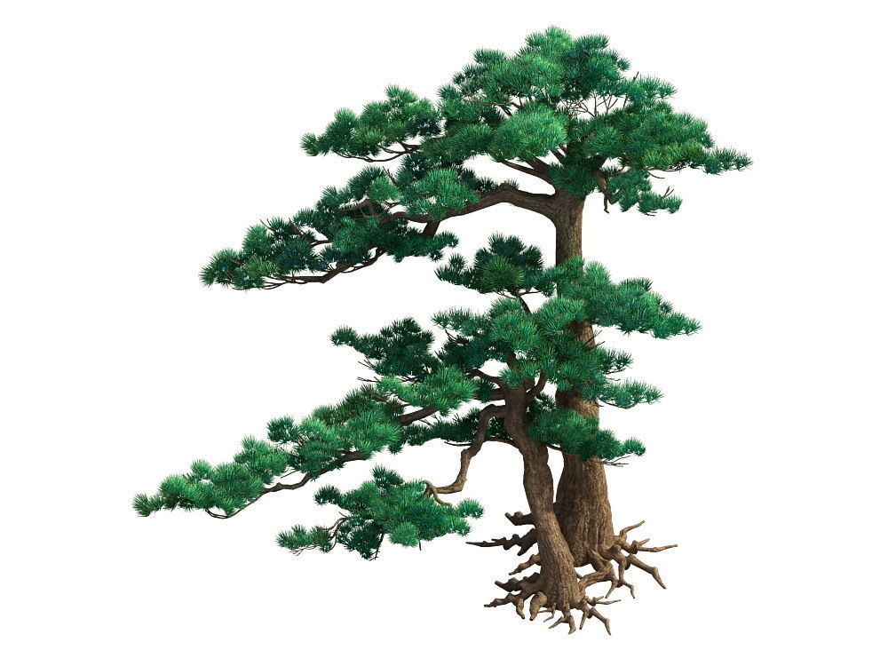 e Model - Taoist comprehension scene - Pine 05 01 3D model_1