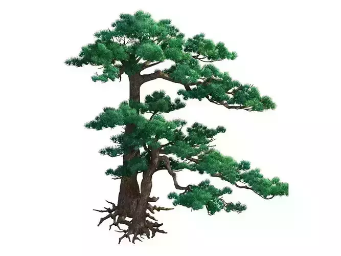 e Model - Taoist comprehension scene - Pine 05 01