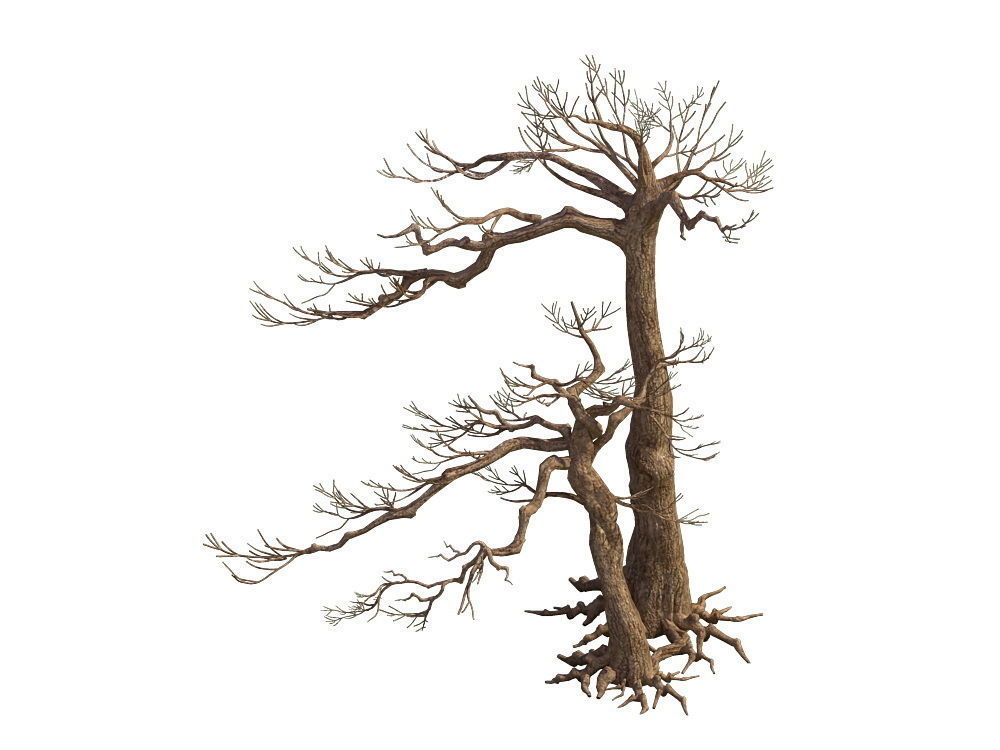 e Model - Taoist comprehension scene - Pine 05 01 3D model_2