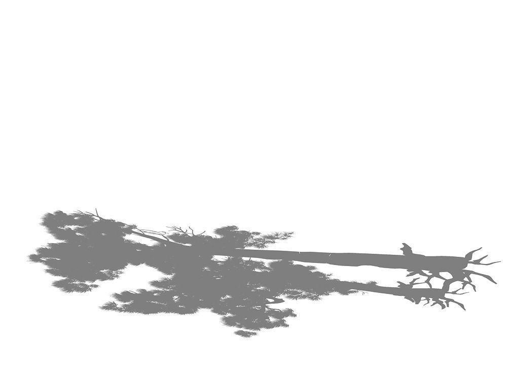 e Model - Taoist comprehension scene - Pine 05 01 3D model_4