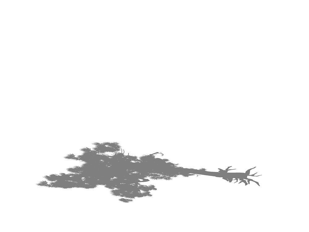 e Model - Taoist comprehension scene - Pine 06 01 3D model_4