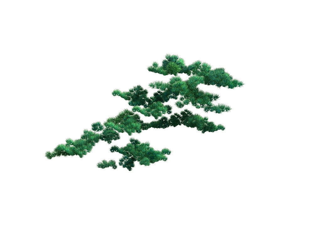 e Model - Taoist comprehension scene - Pine 06 01 3D model_3