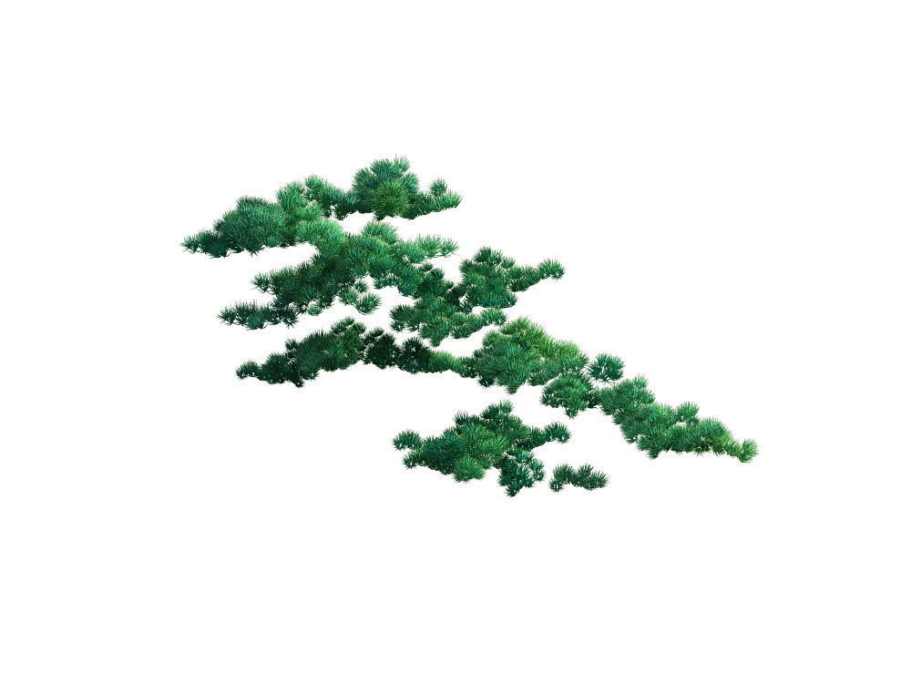 e Model - Taoist comprehension scene - Pine 06 01 3D model_6