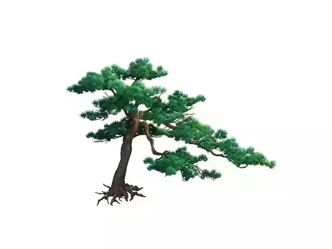 e Model - Taoist comprehension scene - Pine 06 01