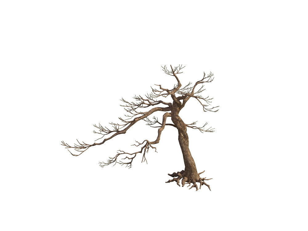 e Model - Taoist comprehension scene - Pine 06 01 3D model_2