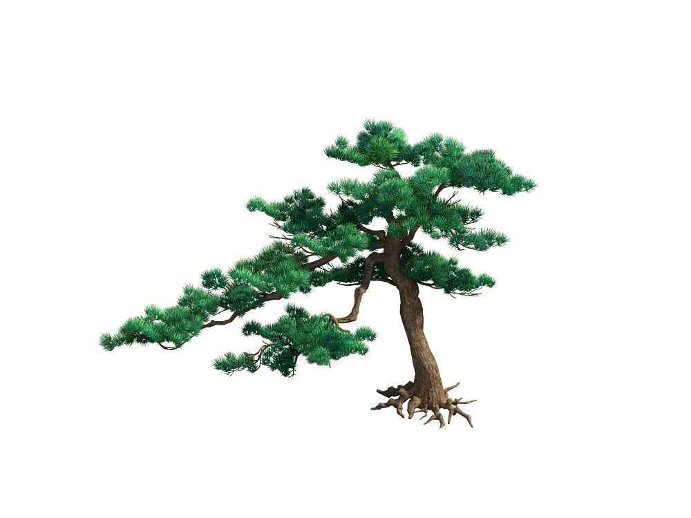 e Model - Taoist comprehension scene - Pine 06 01 3D model_1