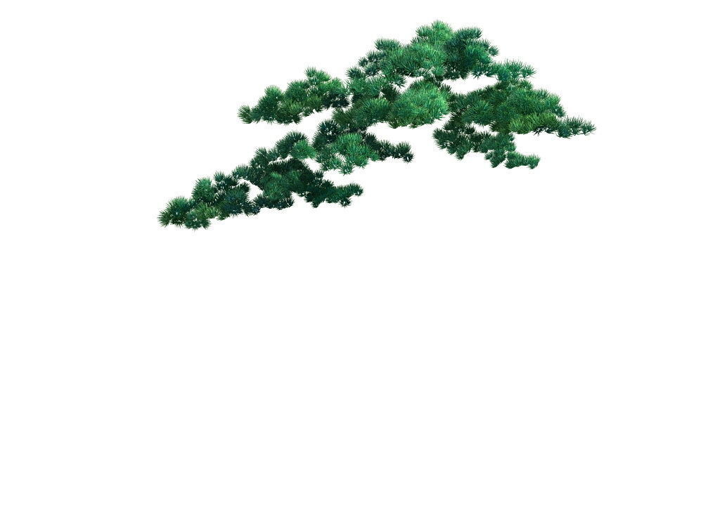 e Model - Taoist comprehension scene - Pine 07 01 3D model_3