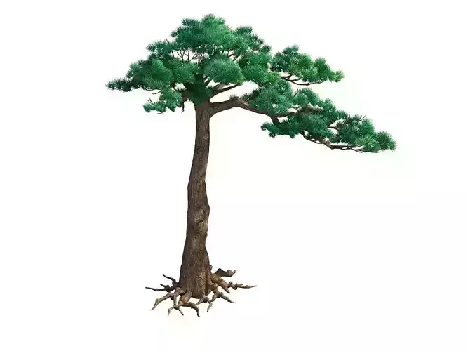 e Model - Taoist comprehension scene - Pine 07 01