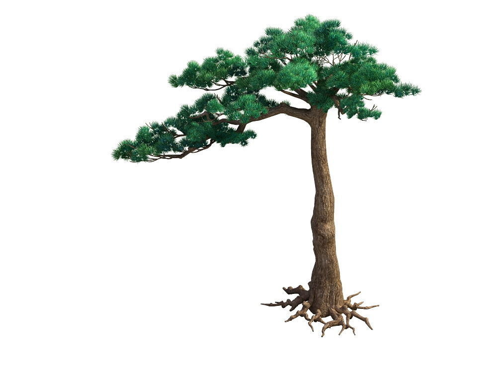 e Model - Taoist comprehension scene - Pine 07 01 3D model_1