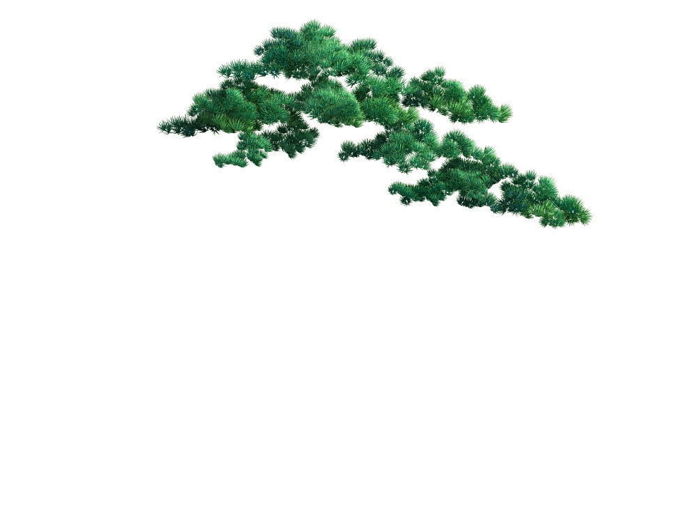 e Model - Taoist comprehension scene - Pine 07 01 3D model_6