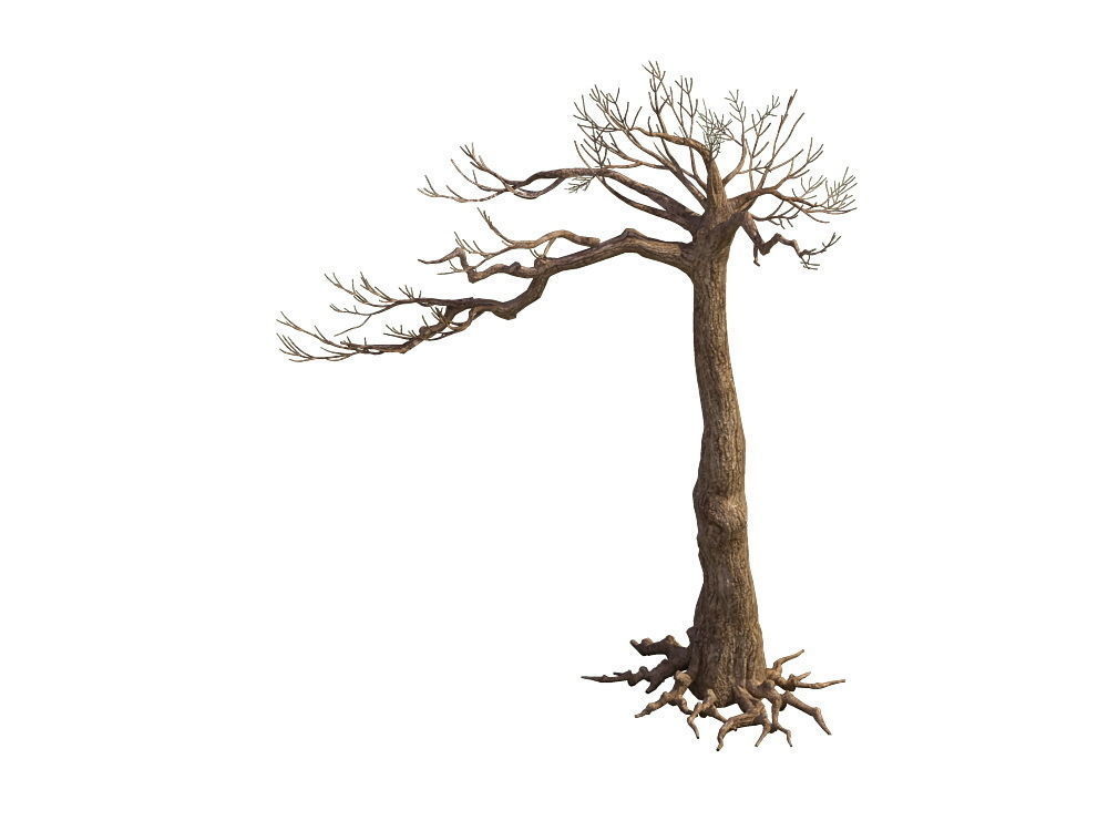 e Model - Taoist comprehension scene - Pine 07 01 3D model_2