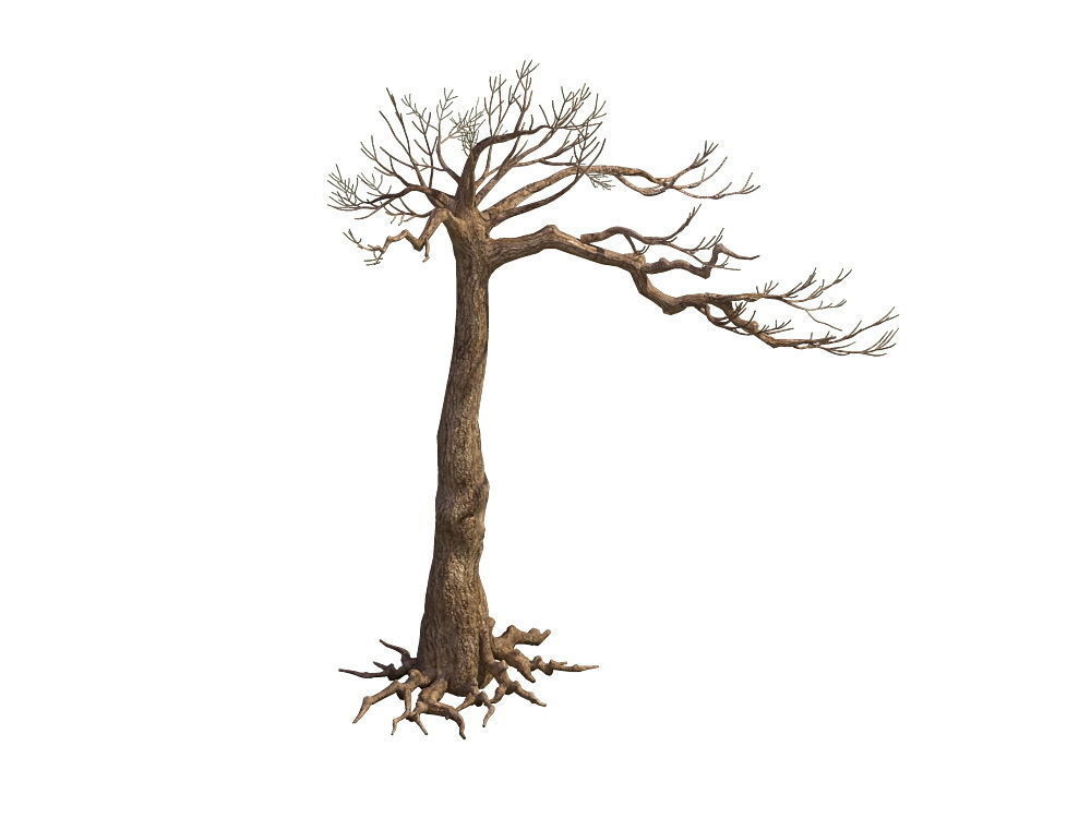 e Model - Taoist comprehension scene - Pine 07 01 3D model_5