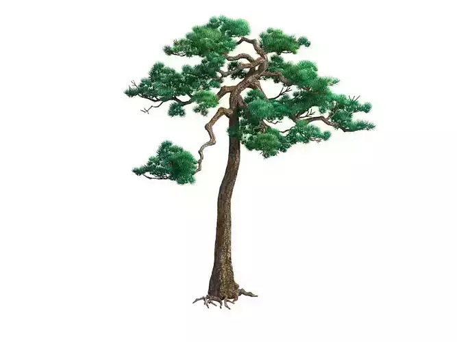 e Model - Taoist comprehension scene - Pine 08 01