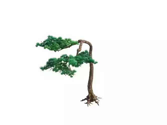 e Model - Taoist comprehension scene - Pine 09 01