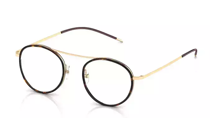 Eyeglasses for Men and Women 3D print model