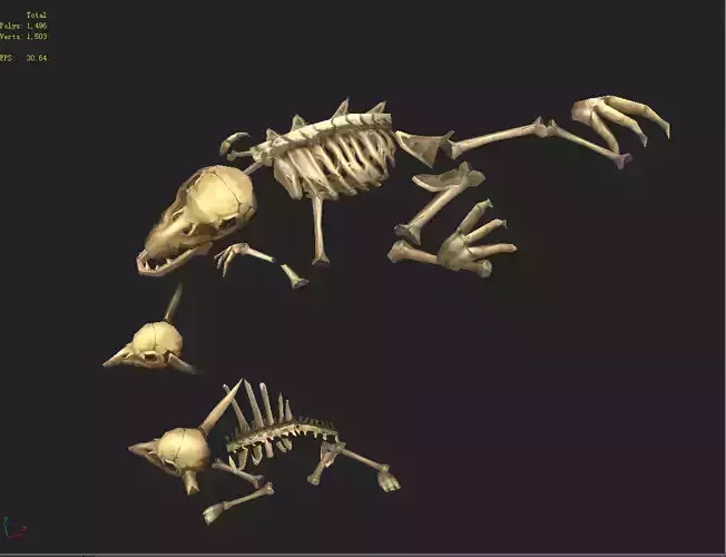 Game Model Arena - bone remains of animals 01