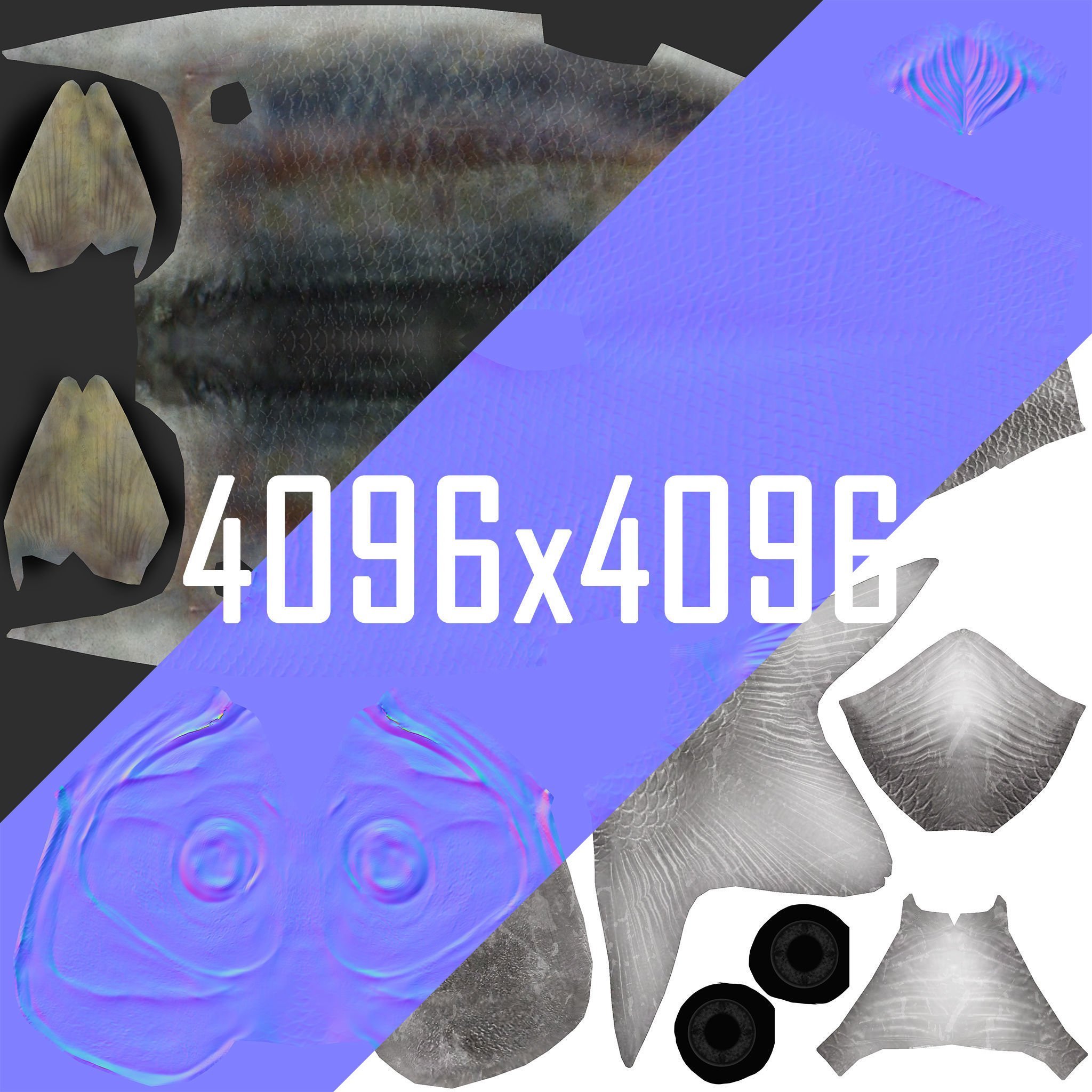 Sardine fish Low-poly 3D model_11