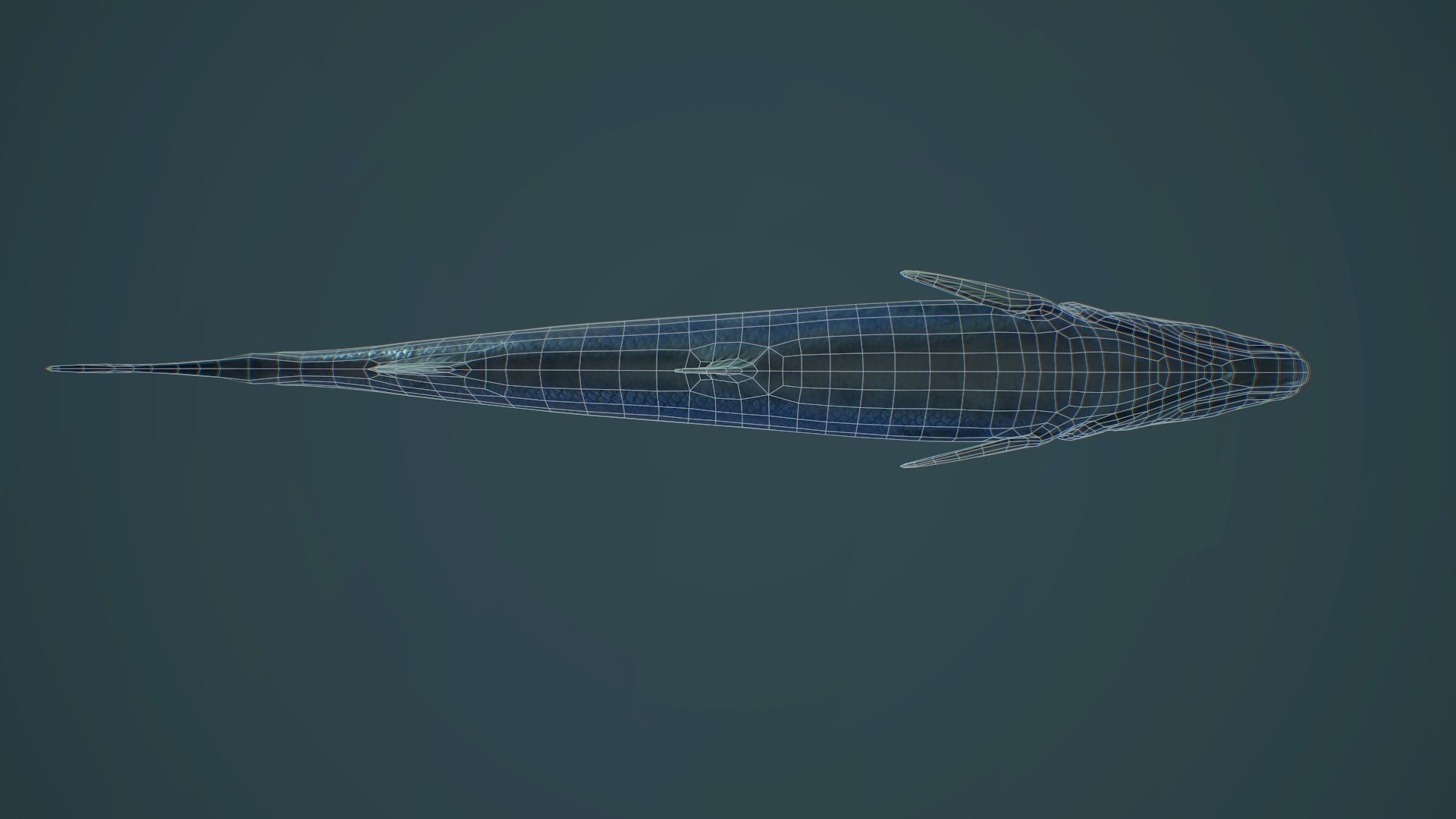 Sardine fish Low-poly 3D model_9