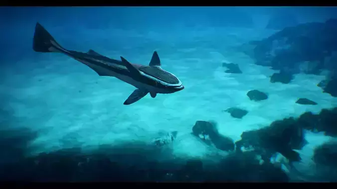 Remora Fish Low-poly 3D model