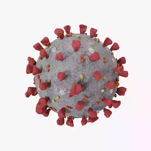 Coronavirus SARS-CoV-2