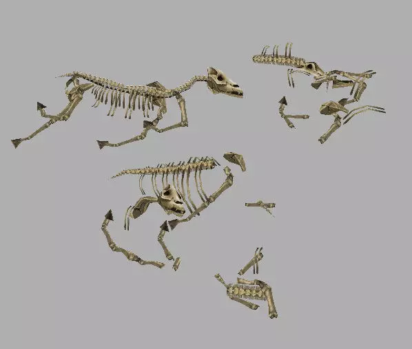 Game Model Arena - horse bones 01 3D model_0