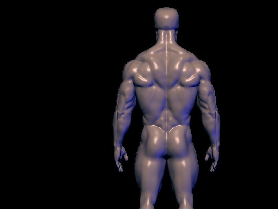 bodybuilder anatomy hipoly  3D model_3