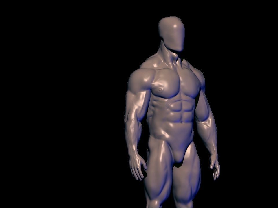 bodybuilder anatomy hipoly  3D model_6