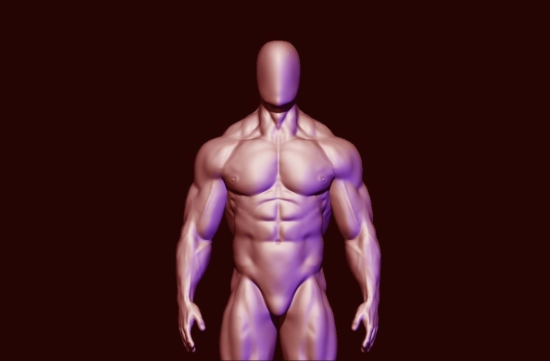 bodybuilder anatomy hipoly  3D model_14