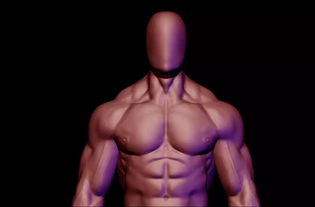 bodybuilder anatomy hipoly  3D model_0