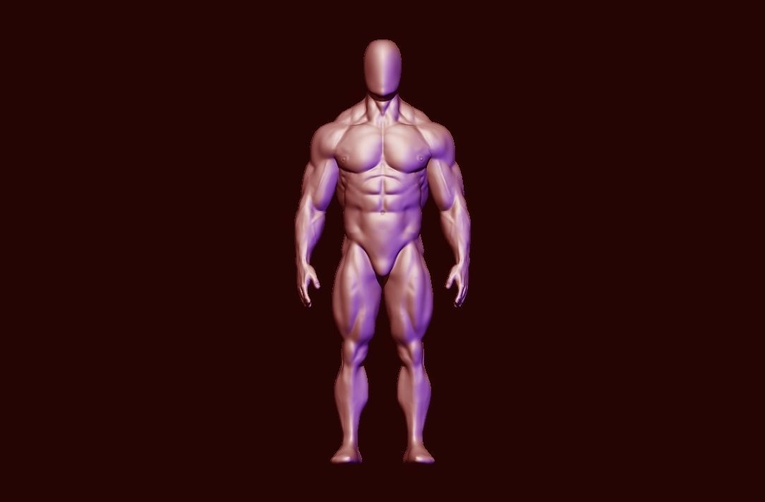 bodybuilder anatomy hipoly  3D model_12