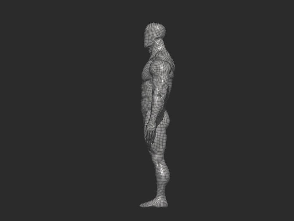 bodybuilder anatomy hipoly  3D model_9