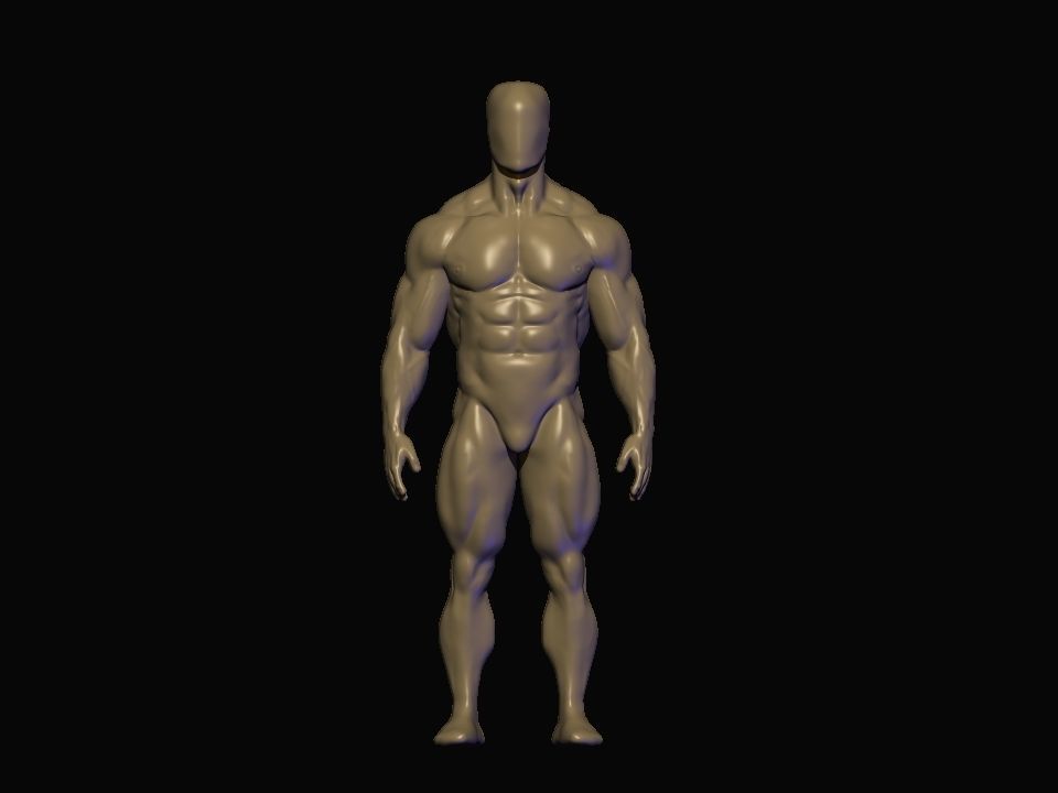 bodybuilder anatomy hipoly  3D model_4