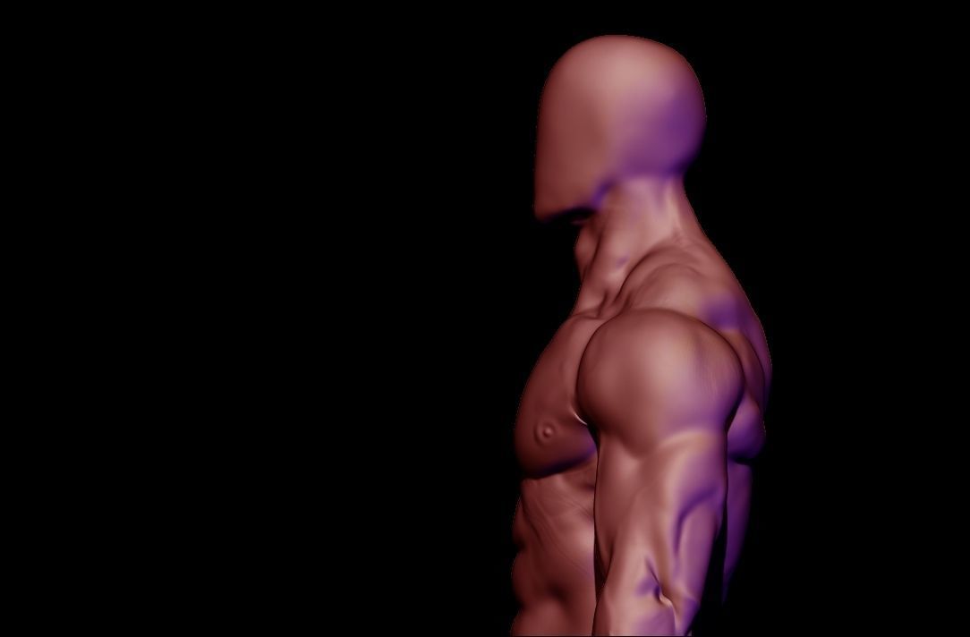 bodybuilder anatomy hipoly  3D model_10